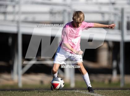 Thumbnail 1 in Porter Ridge @ Myers Park photogallery.