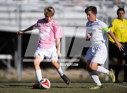 Thumbnail 2 in Porter Ridge @ Myers Park photogallery.