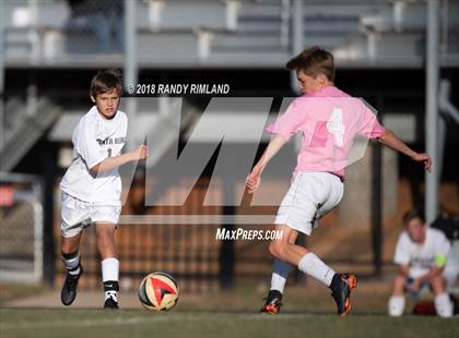 Thumbnail 3 in Porter Ridge @ Myers Park photogallery.