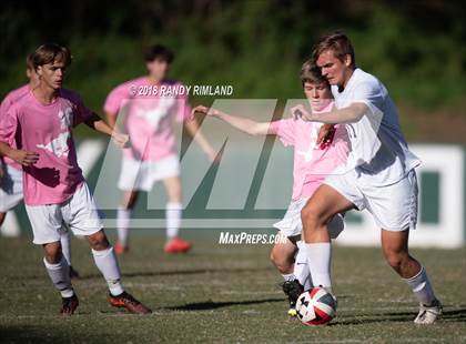 Thumbnail 3 in Porter Ridge @ Myers Park photogallery.