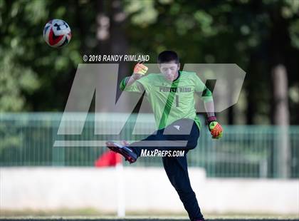 Thumbnail 2 in Porter Ridge @ Myers Park photogallery.