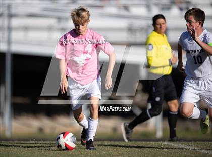 Thumbnail 3 in Porter Ridge @ Myers Park photogallery.