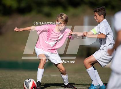 Thumbnail 1 in Porter Ridge @ Myers Park photogallery.