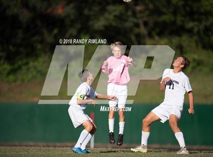 Thumbnail 1 in Porter Ridge @ Myers Park photogallery.