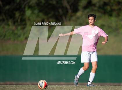 Thumbnail 1 in Porter Ridge @ Myers Park photogallery.