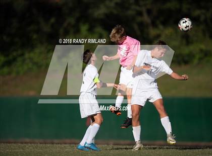 Thumbnail 3 in Porter Ridge @ Myers Park photogallery.