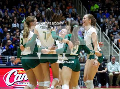 Thumbnail 3 in Byron Nelson vs. Stratford (UIL 6A Volleyball Division II Final) photogallery.