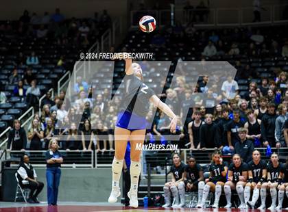 Thumbnail 2 in Byron Nelson vs. Stratford (UIL 6A Volleyball Division II Final) photogallery.