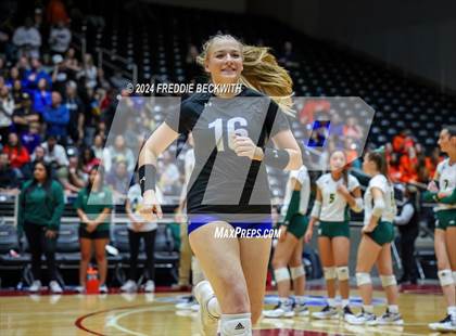 Thumbnail 1 in Byron Nelson vs. Stratford (UIL 6A Volleyball Division II Final) photogallery.