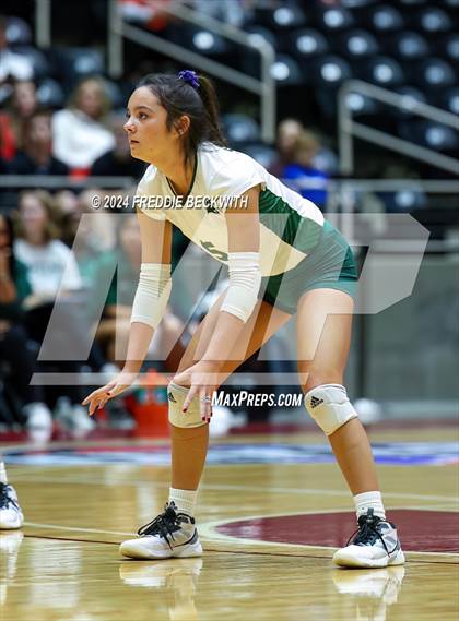 Thumbnail 1 in Byron Nelson vs. Stratford (UIL 6A Volleyball Division II Final) photogallery.