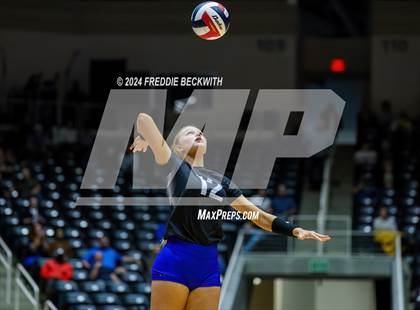 Thumbnail 3 in Byron Nelson vs. Stratford (UIL 6A Volleyball Division II Final) photogallery.