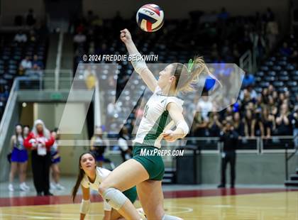 Thumbnail 3 in Byron Nelson vs. Stratford (UIL 6A Volleyball Division II Final) photogallery.