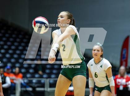 Thumbnail 1 in Byron Nelson vs. Stratford (UIL 6A Volleyball Division II Final) photogallery.