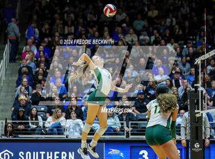 Thumbnail 1 in Byron Nelson vs. Stratford (UIL 6A Volleyball Division II Final) photogallery.