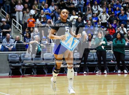 Thumbnail 1 in Byron Nelson vs. Stratford (UIL 6A Volleyball Division II Final) photogallery.