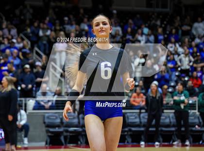 Thumbnail 2 in Byron Nelson vs. Stratford (UIL 6A Volleyball Division II Final) photogallery.