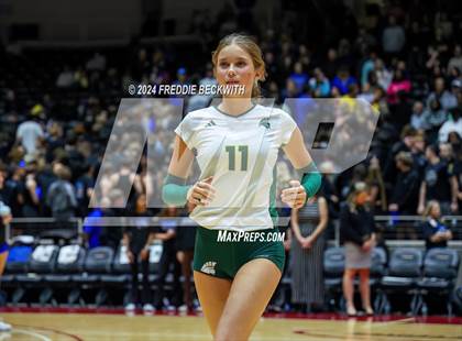 Thumbnail 3 in Byron Nelson vs. Stratford (UIL 6A Volleyball Division II Final) photogallery.