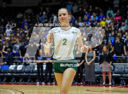 Thumbnail 1 in Byron Nelson vs. Stratford (UIL 6A Volleyball Division II Final) photogallery.
