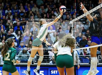 Thumbnail 2 in Byron Nelson vs. Stratford (UIL 6A Volleyball Division II Final) photogallery.