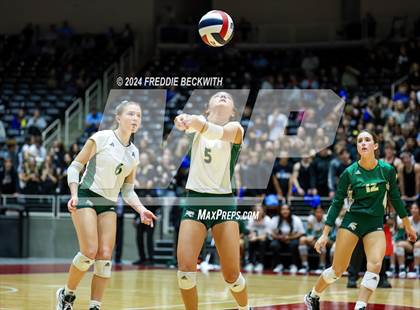 Thumbnail 2 in Byron Nelson vs. Stratford (UIL 6A Volleyball Division II Final) photogallery.