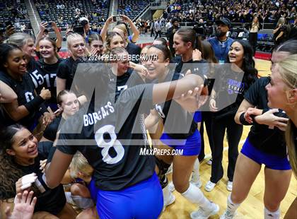 Thumbnail 1 in Byron Nelson vs. Stratford (UIL 6A Volleyball Division II Final) photogallery.