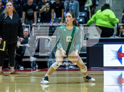 Thumbnail 3 in Byron Nelson vs. Stratford (UIL 6A Volleyball Division II Final) photogallery.