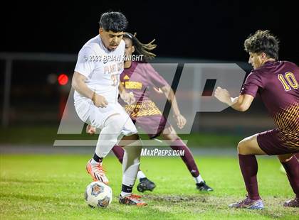 Thumbnail 3 in Plant City @ Lake Gibson photogallery.
