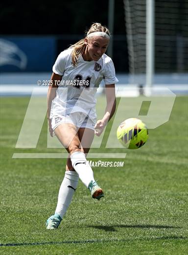 null - Photo 01
