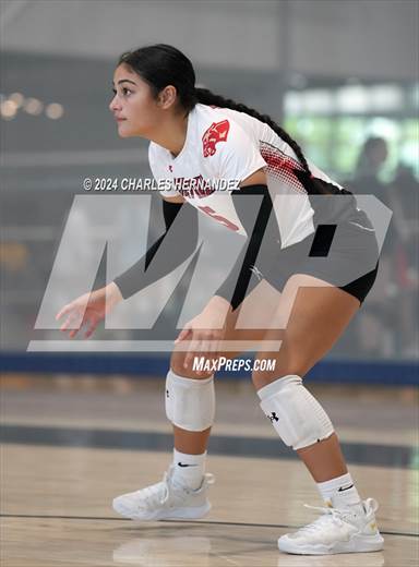 null - Photo 01