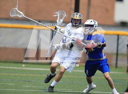 Thumbnail 1 in Irondequoit @ Webster Schroeder photogallery.