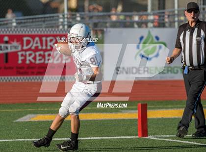 Thumbnail 3 in South Kitsap @ Sumner photogallery.