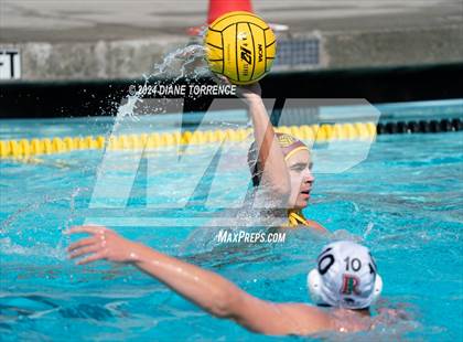 Thumbnail 1 in Redwood vs. Woodrow Wilson photogallery.
