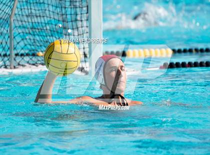 Thumbnail 1 in Redwood vs. Woodrow Wilson photogallery.