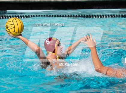 Thumbnail 3 in Redwood vs. Woodrow Wilson photogallery.