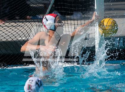 Thumbnail 3 in Redwood vs. Woodrow Wilson photogallery.