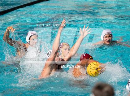 Thumbnail 3 in Redwood vs. Woodrow Wilson photogallery.