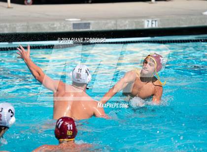Thumbnail 1 in Redwood vs. Woodrow Wilson photogallery.