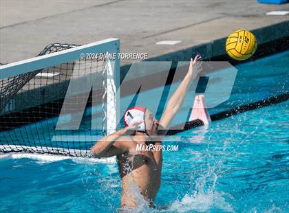 Thumbnail 3 in Redwood vs. Woodrow Wilson photogallery.
