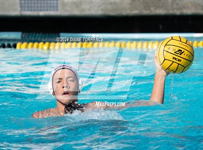 Thumbnail 2 in Redwood vs. Woodrow Wilson photogallery.