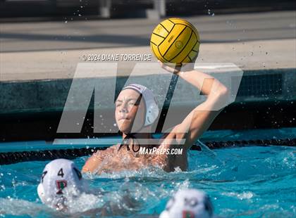 Thumbnail 1 in Redwood vs. Woodrow Wilson photogallery.