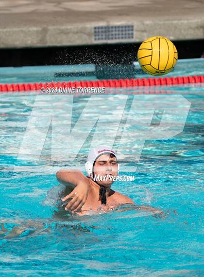 Thumbnail 2 in Redwood vs. Woodrow Wilson photogallery.