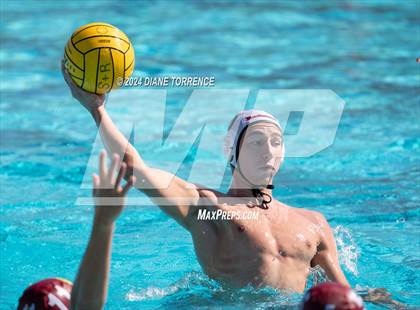 Thumbnail 2 in Redwood vs. Woodrow Wilson photogallery.
