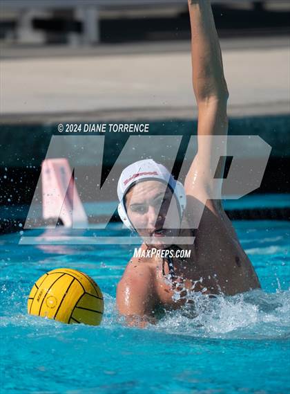 Thumbnail 2 in Redwood vs. Woodrow Wilson photogallery.