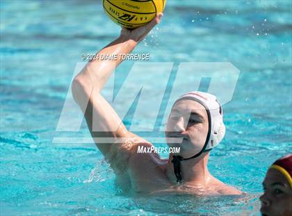 Thumbnail 3 in Redwood vs. Woodrow Wilson photogallery.
