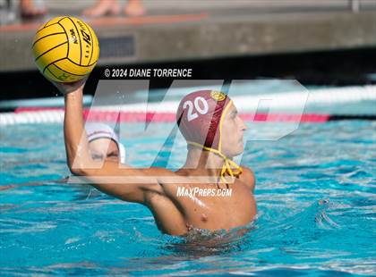 Thumbnail 2 in Redwood vs. Woodrow Wilson photogallery.