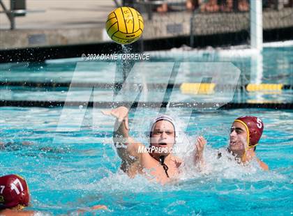 Thumbnail 2 in Redwood vs. Woodrow Wilson photogallery.