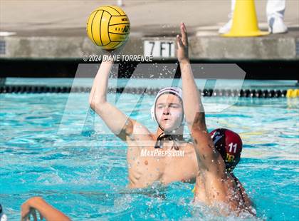 Thumbnail 2 in Redwood vs. Woodrow Wilson photogallery.