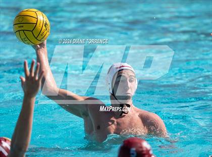 Thumbnail 1 in Redwood vs. Woodrow Wilson photogallery.