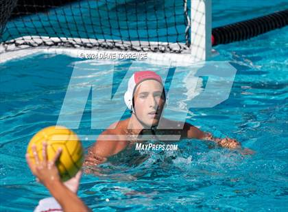 Thumbnail 2 in Redwood vs. Woodrow Wilson photogallery.