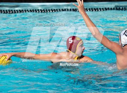 Thumbnail 2 in Redwood vs. Woodrow Wilson photogallery.
